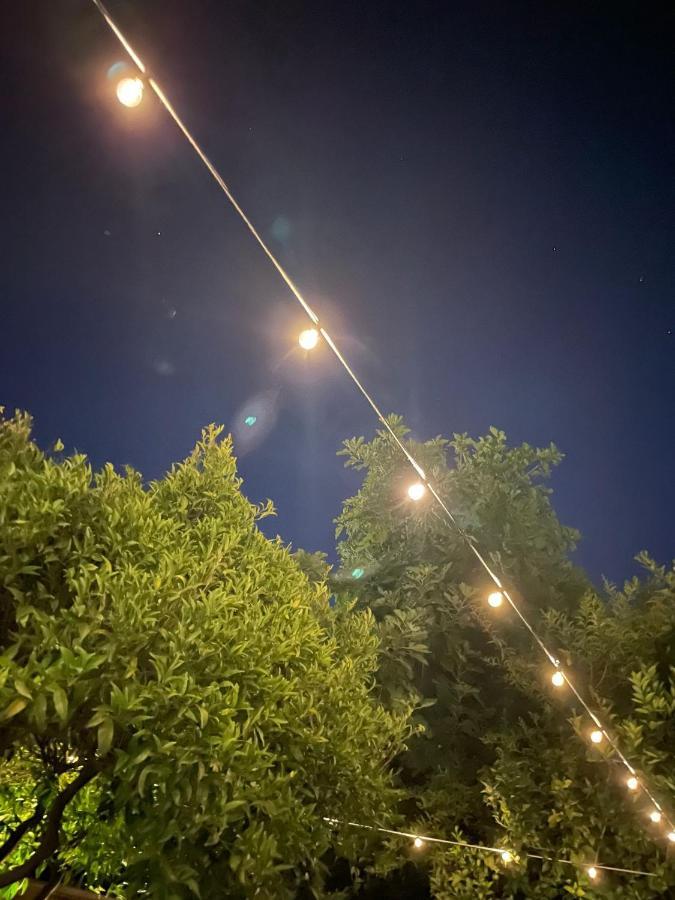 Garden Apartments Ischia Super Centrale Forio di Ischia エクステリア 写真