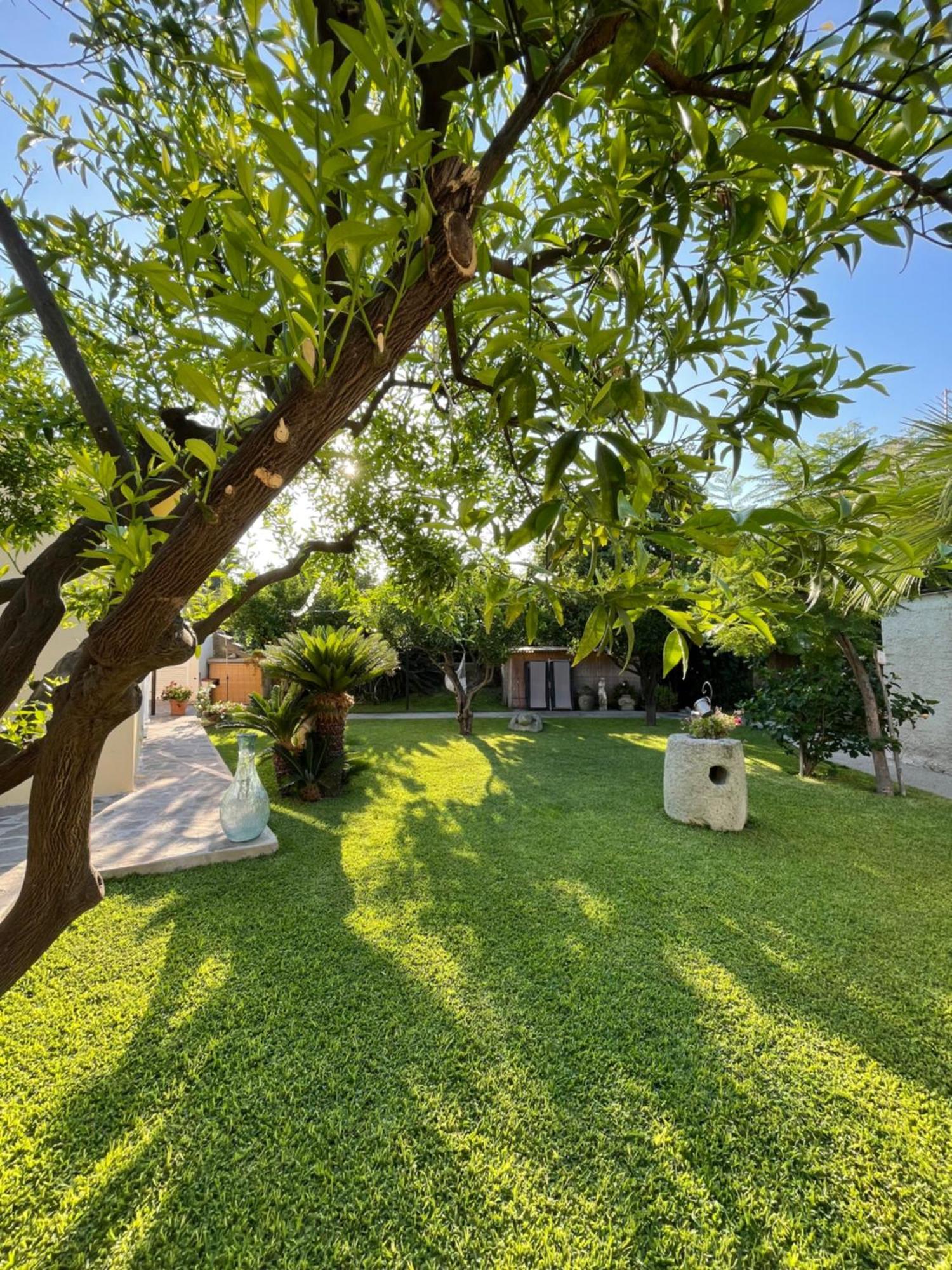 Garden Apartments Ischia Super Centrale Forio di Ischia エクステリア 写真